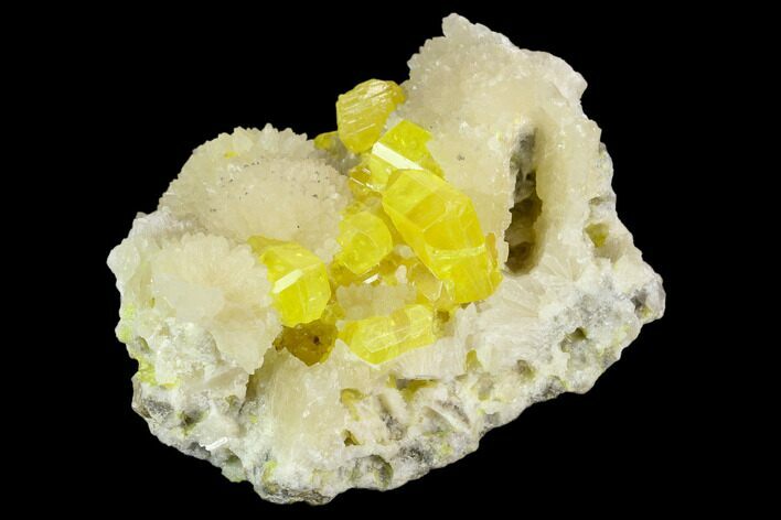 Sulfur Crystals on Fluorescent Aragonite - Italy #129094